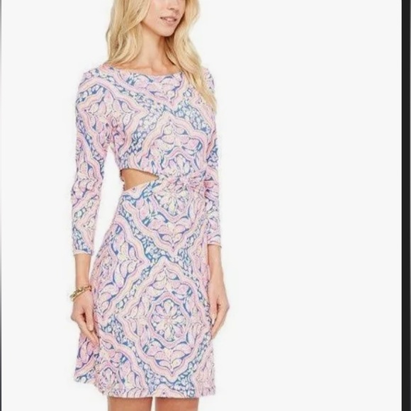 Lilly Pulitzer dress - Picture 2 of 5